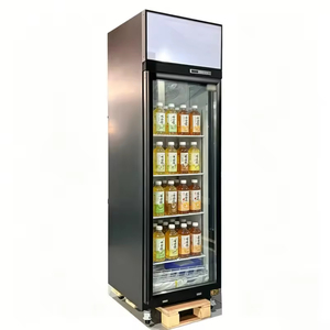 Congélateur vertical à une porte avec compresseur supérieur et porte vitrée simple pour supermarché et magasin de proximité - Product Image 4
