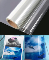 Film en rouleau PET transparent acrylique 100mic/175mic, surface PVC brillante, résistant à l'eau, film de plastification à froid, matériau pour affiches