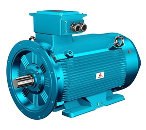 Moteur asynchrone triphasé à émissions zéro, boîtier en aluminium Weg, 15 kW, 1000 tr/min, 460/480 V, moteur personnalisable - Product Image 1