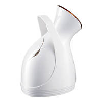 Vaporisateur Facial Professionnel Portable Mini 3-en-1 Nano Ionique pour SPA, Éclaircissant et Nettoyant en Profondeur, Réservoir 100ml