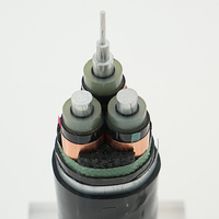 Cable de Alimentación de Aluminio 1kv 6.6kv 11kv 30kv 33kv 35kv, 3 Núcleos, Un Núcleo, Media Tensión, XLPE, Blindado, para Estación de Energía Marina, IP66