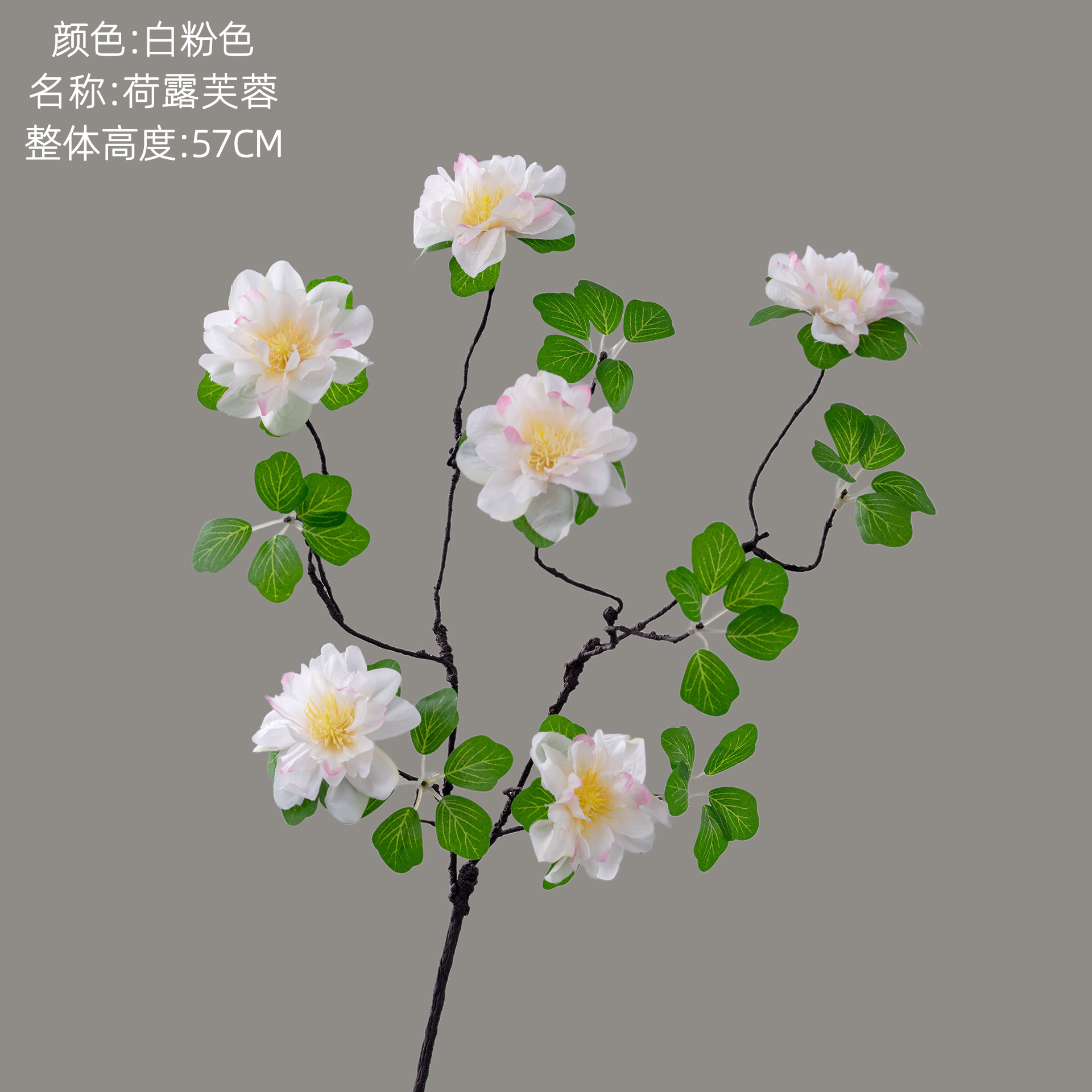 Blanc et rose