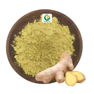Poudre d'extrait de racine de gingembre soluble dans l'eau 1% 5% gingerol racine de gingembre 6-gingerol