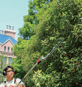 ماكينة تشذيب تحوط تلسكوبية لاسلكية من الدرجة الصناعية عالية الجودة طويلة المدى من CE عمود بنزين ثنائي الأشواط لاستخدام الحدائق بنفسك - Product Image 6