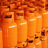 Système de gaz à faible consommation énergétique en acier, conçu pour des performances stables, un rendement constant, une utilisation efficace, compatible avec plusieurs énergies, paroi de 2,4 mm