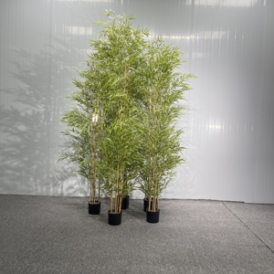 Planta Artificial de <span class=keywords><strong>Bambú</strong></span> de la Suerte, Plástico de Alta Simulación, Estilo Moderno, Decoración para Interiores y Exteriores, para Dormitorio, Hogar y <span class=keywords><strong>Jardín</strong></span> - Product Image 1