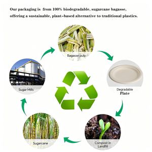 Platos Desechables Resistentes y Ecológicos de Caña de Azúcar, Compostables, con Aislamiento Térmico - Product Image 4