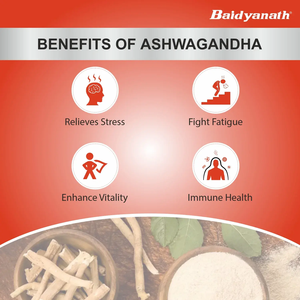 Baidyanath Ashwagandha Comprimé 60 Compter Supplément à forte demande pour un bon sommeil Disponible au prix de gros en Inde - Product Image 2
