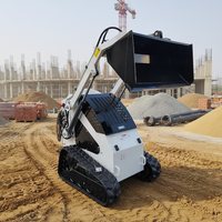 Minipala Verticale Versatile con Motore EPA: Sollevamento Parallelo Ottimizzato per Tutte le Condizioni di Lavoro e Livellamento Ottimizzato