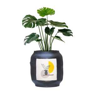 Maceta Decorativa de Mesa con Plantas Verdes, Moderna, Negra, para Hogar, Oficina, Escritorio, Sala de Estar, Elegante - Product Image 1