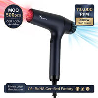 Secador de Pelo de Alta Velocidad de 110000 RPM de Marca Privada, Certificado CE, Fabricante Profesional de Productos para el Cuidado del Cabello OEM ODM, MOQ 500