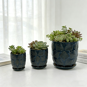 Macetas de Cerámica para Plantas Suculentas Pequeñas, Venta al Por Mayor de Fábrica - Product Image 3