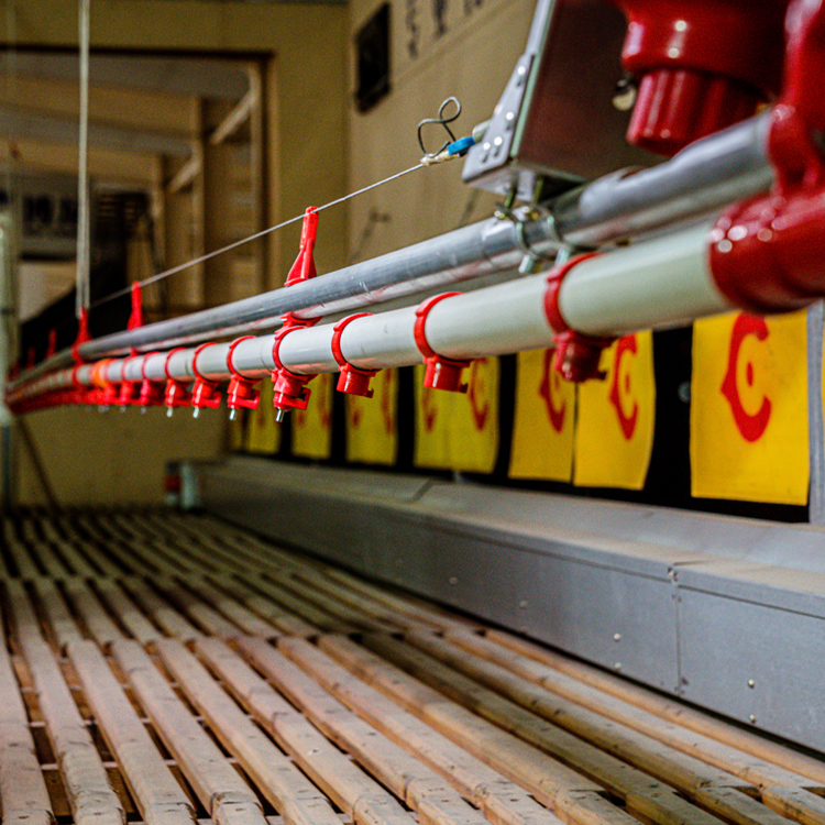 Полностью автоматическое оборудование, курятник свободного диапазона, курятник свободного диапазона