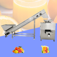 Zware citruspers voor het maken van vers fruit sap, geschikt voor kumquat, citroen, sinaasappel, met scheider voor schil en sap.