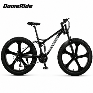 Vélo de montagne pour adulte avec cadre en acier au carbone, pneus de 26 pouces et 40 mm de large, freins à disque doubles, suspension avant, cadre souple, vélo à vitesse variable - Product Image 1