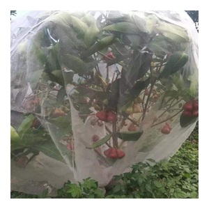 Anti Insect <strong>Net</strong> Bag <strong>Fruit</strong> Protection Mesh Bags <strong>Fruit</strong> <strong>Tree</strong> Protection Bag with Factory Lowest Price - Product Image 6