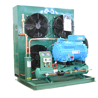 Condenseur d'air pour chaîne du froid 12HP à économie d'énergie pour unité de condensation de compresseur avec moteur pour stockage de produits surgelés