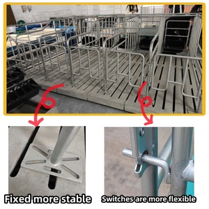 Nueva pluma de gestación de cerdas galvanizada con comedero, casa de cerdos, corrales de gestación de cerdas, cajas para cerdos - Product Image 3