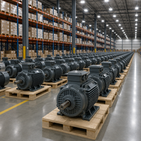 Enneng Chine, fabricants de moteurs électriques à aimants permanents PMSM IE6 de 30 kW pour l'intérieur