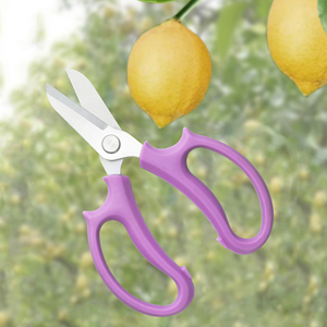 Kéo làm vườn bằng thép không gỉ, kéo cắt hoa chuyên nghiệp, tay cầm thoải mái, kéo tỉa cây, dụng cụ cắt tỉa cây cảnh - Product Image 6