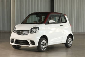 Nuevo Vehículo Eléctrico Mini Auto de 2 Plazas, Homologado para Carreteras de la UE, 45 km, Vehículo de Movilidad para Adultos, Nuevo, Cerrado, 3000 Vatios - Product Image 4