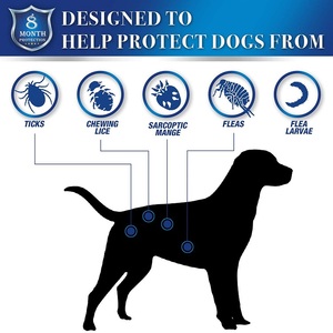 <span class=keywords><strong>Collier</strong></span> anti-puces et tiques pour animaux de compagnie Logo personnalisé en gros pour chiens et chats <span class=keywords><strong>collier</strong></span> de chien réglable - Product Image 2