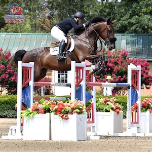 <strong>Aluminum</strong> <strong>Jump</strong> Stands Horse <strong>Show</strong> Jumping Wing - Product Image 1