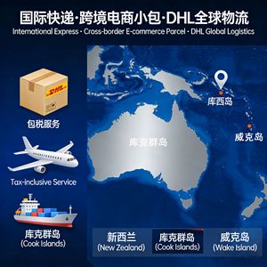 Livraison express internationale DHL FEDEX UPS EMS, expédition de petits colis, îles Cook, Nouvelle-Zélande, île de Wake, logistique - Product Image 5