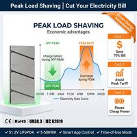 Batería Solar de Iones de Litio, Paquete de Baterías de 51.2V 300Ah, 10kWh 20KW 40KW 50KW, Compatible con Carga de Vehículos Eléctricos, Almacenamiento de Energía Doméstica, Carga Pico, CE