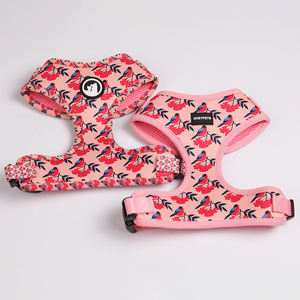 Okeypets工場カスタム犬ひも蝶ネクタイハーネスセットペット犬アクセサリーデザイナー高級犬ハーネスリードセット - Product Image 2