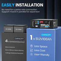 Batterie de rack de serveur LiFePO4 5,12 kWh, 51,2 V 100 Ah, BMS intelligent, surveillance Bluetooth, écran LCD, pour systèmes ESS solaires