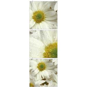 Margherita fantasia finestra appesa 39cm x 120cm - Product Image 1
