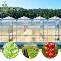Structure de serre multi-chapelles sur mesure en polycarbonate occultant pour pépinière de semis de grande taille