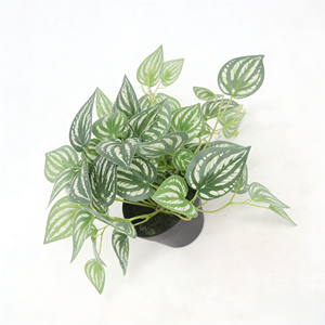 Mini plante artificielle <span class=keywords><strong>Bonsaï</strong></span> Petite plante <span class=keywords><strong>en</strong></span> <span class=keywords><strong>pot</strong></span> Plante à feuilles vertes blanches dans <span class=keywords><strong>un</strong></span> <span class=keywords><strong>pot</strong></span> <span class=keywords><strong>en</strong></span> plastique avec faux sol pour la décoration du rebord de fenêtre à la maison - Product Image 2