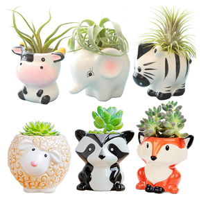 Cartone animato a forma di piccolo succulento vaso di pianta d'aria titolare Mini animale fioriera foro di drenaggio Airplants Tillandsia titolare per Mini pianta - Product Image 1