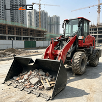 Minipala Gommata Compatta ZL946 Weifang da 0,8 m³ con Benna, Diesel, Economica, per Applicazioni di Carico Sabbia in Piccole Fattorie