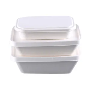 Aviation Disposable Pulp Paper Sugarcane Fibre Plates Packaging Food Lunch Box