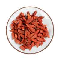 Gedroogde Gojibessen Natuurlijke Chinese Wolfberry Gezonde Gedroogde Vruchten