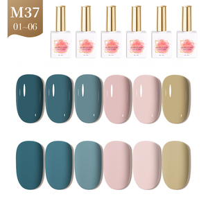AILANUO เจลทาเล็บ ผลิตแบบ OEM แถมฟรีสมุดสี เจลยูวีสำหรับมืออาชีพ ชุดสี 6 สี  ขวดเจลทาเล็บแบบกำหนดเองขนาด 15 มล. - Product Image 1