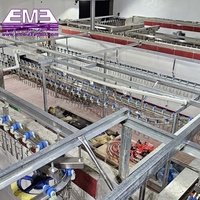 Machine à abattre les poulets, machine à plumer les poulets automatique pour équipement complet de boucherie avicole, ligne d'équipement d'abattage