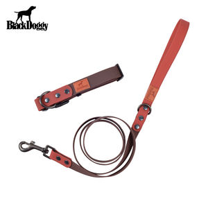 Wasserdichte benutzer definierte Vintage Hunde halsband Leine Walking Lead Akzeptieren Großhandel - Product Image 5