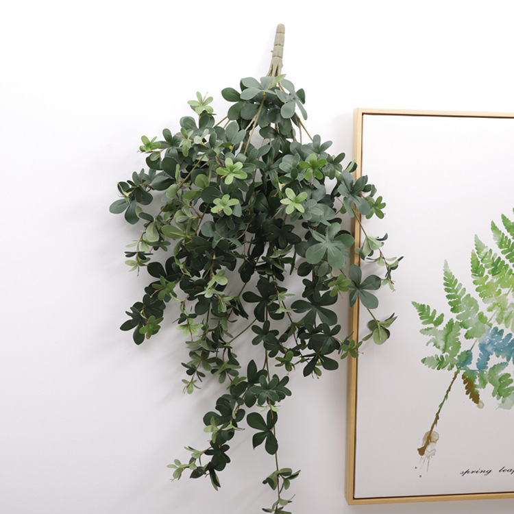 cuckoo leaves green