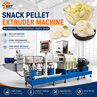 Ligne de production automatique de snacks frits 2D et 3D, machine à fabriquer des Pani Puri et des Papad, extrudeuse à double vis