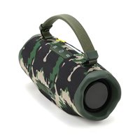 Haut-parleur portable à subwoofer haute puissance, haut-parleur stéréo TWS multifonctionnel avec éclairage RVB