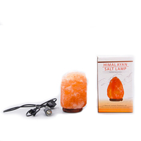 Vente en gros de lampe au sel rose naturel de la pleine lune de l'Himalaya de la meilleure qualité avec socle en bois