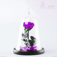 Cadeau de Noël 2026 Cadeau de la Saint-Valentin Fleur éternelle sous cloche en verre Rose La Belle et la Bête Prince Plante décorative