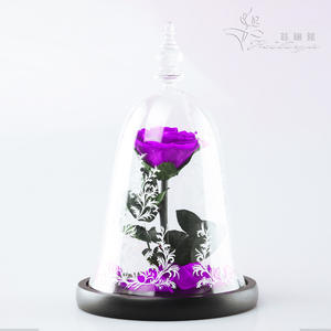 Cadeau de Noël 2026 Cadeau de <span class=keywords><strong>la</strong></span> Saint-Valentin Fleur éternelle sous cloche en verre Rose <span class=keywords><strong>La</strong></span> <span class=keywords><strong>Belle</strong></span> <span class=keywords><strong>et</strong></span> <span class=keywords><strong>la</strong></span> Bête <span class=keywords><strong>Prince</strong></span> Plante décorative - Product Image 6
