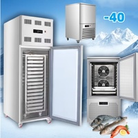 Congelador de Impacto Comercial de 10 Bandejas y 10 Estantes, Enfriamiento Rápido, Una Sola Temperatura, R404A, Máquina de Congelación Rápida 300L