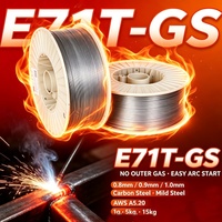 Fil de soudage sans gaz E71T-GS 1,0 mm 1 kg, fil fourré sans gaz pour acier doux AWS A5.20, bobine de 2 lb, Drut Proszkowy