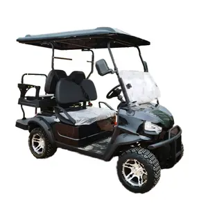 Shandong Tongcai Custom Luxury 4 Seater Modern Electric Golf Cart With 14 Inch Offroad Wheels And Super Screen